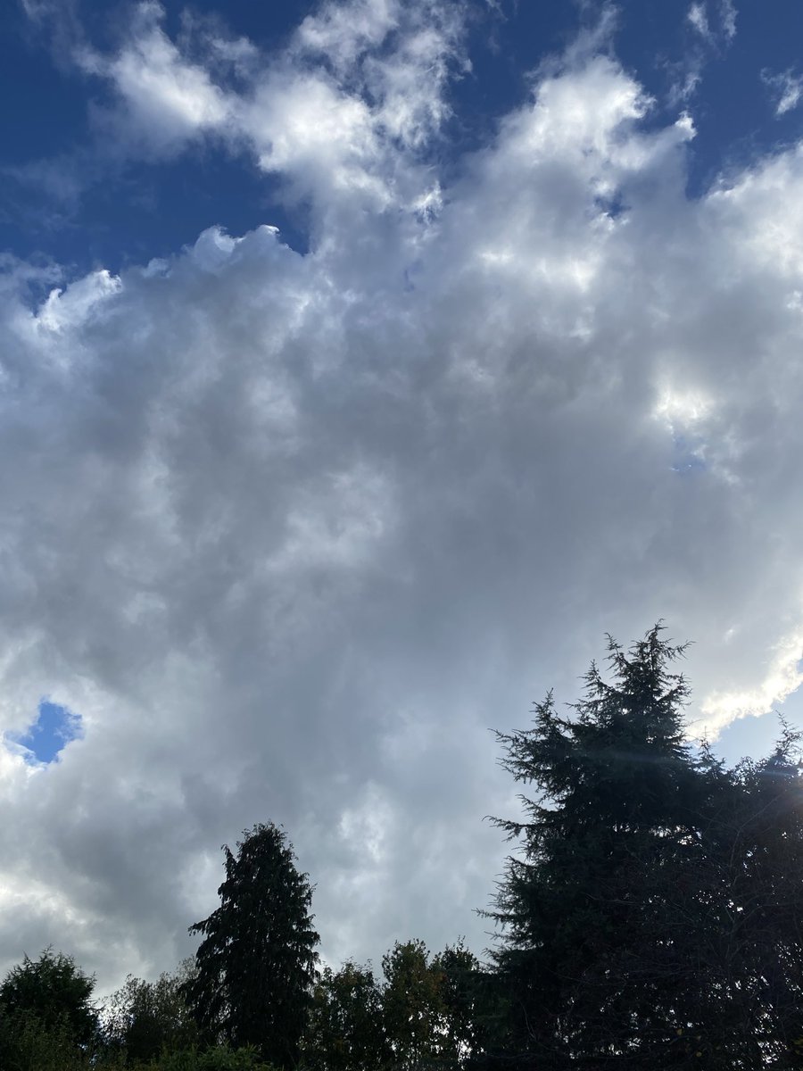 Mr Herod tweet media