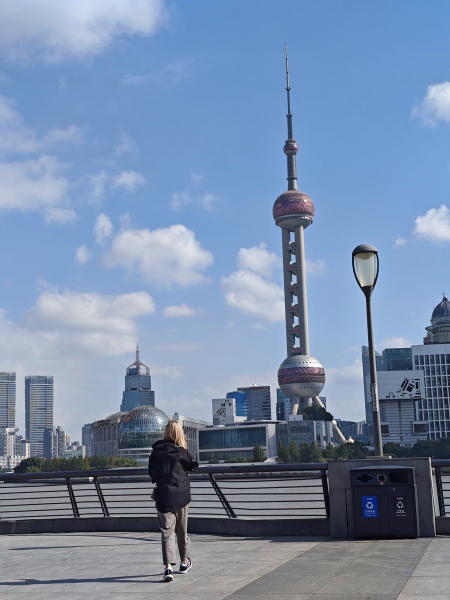 Vulpes ferrilata tweet media