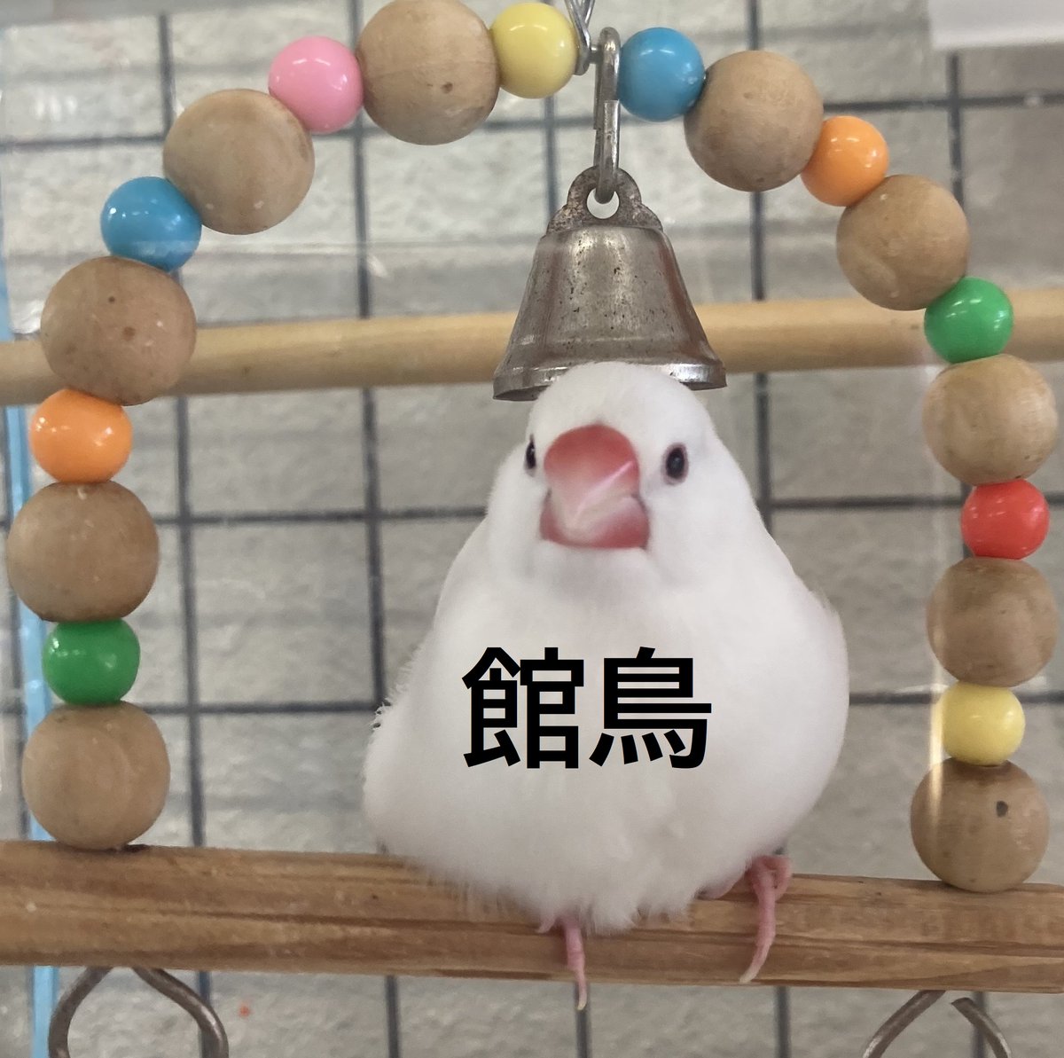 メディア情報】明日10/24（金）18:10～ NHK（東海三県）「まるっと