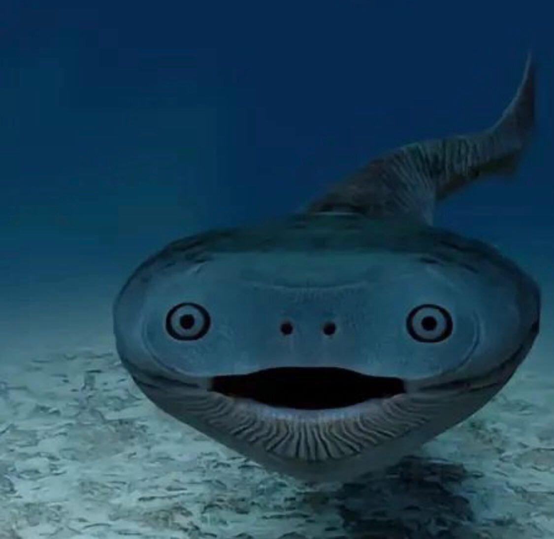 KindaCirius (@kindacirius) on Twitter photo 