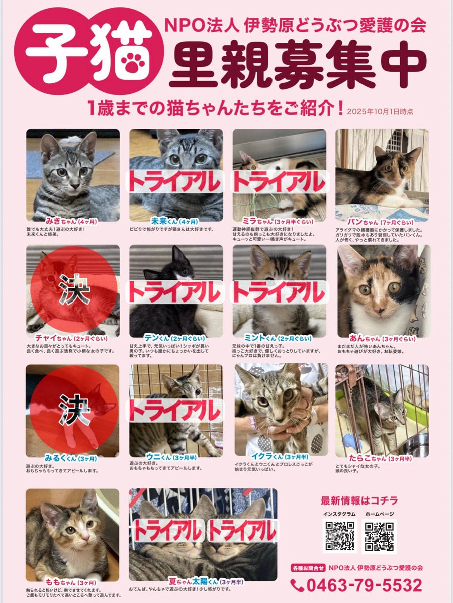 猫です様 リクエスト 4点 まとめ商品 なちゃん様 リクエスト 4点 猫です様 リクエスト 4点 まとめ商品 なちゃん様 リクエスト 4点