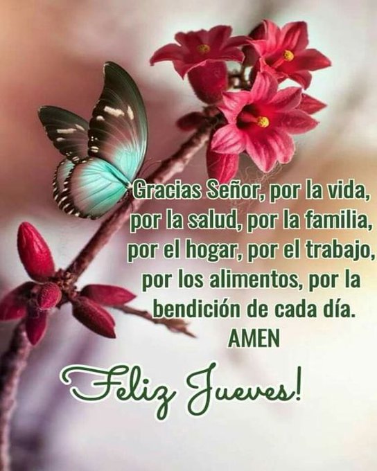 A blue and black butterfly perches on a branch with pink flower buds and blooms. Text overlay reads Gracias Señor por la vida por la salud por la familia por el hogar por el trabajo por los alimentos por la bendición de cada día AMEN. Below it says Feliz Jueves in green script.