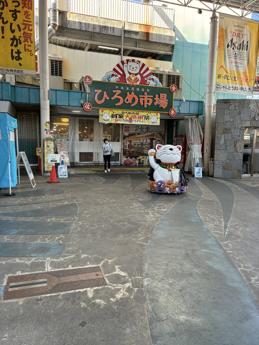 今日はここから