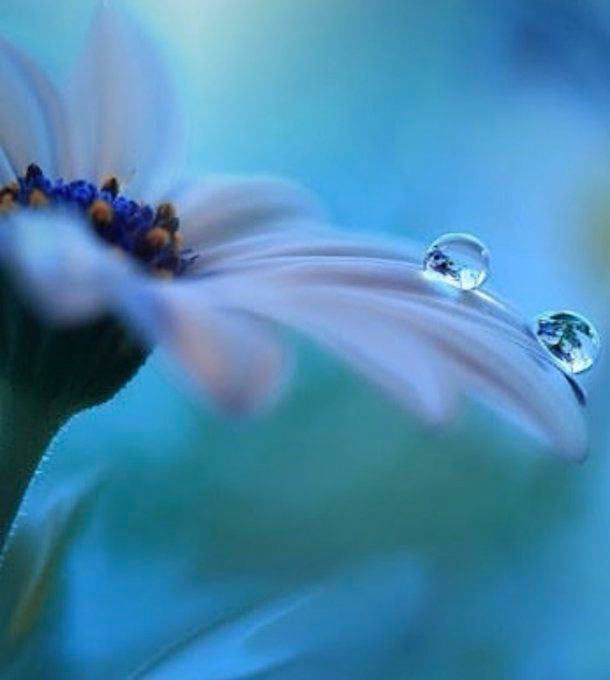 🫧

للسيطرة على الذات عدة وجوه
عندما تكون وحيدًا سيطر على افكارك
عندما تكون مع الناس سيطر لسانك
عندما تكون في ورطة سيطر على مشاعرك
عندما تحقق النجاح سيطر على غرورك

#تطوير_الذات 
#تحفيز 
#رسالة_اليوم 
#نسيله_عسيري