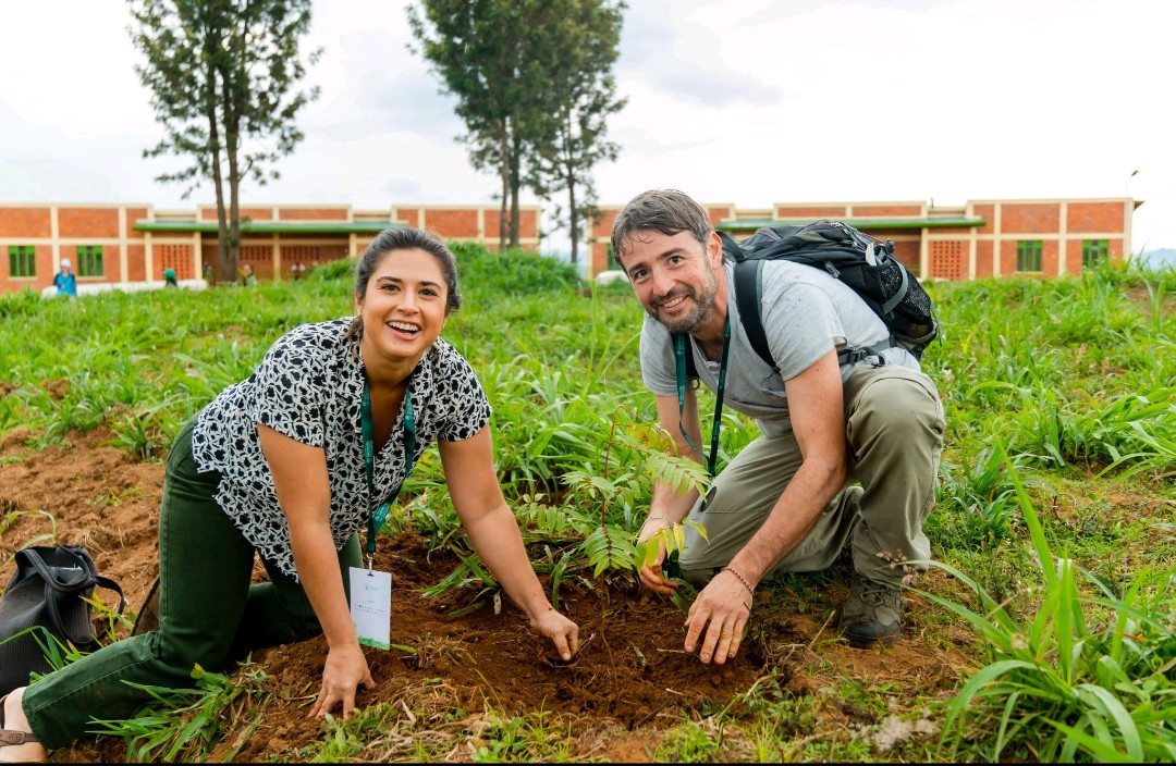 Clean_GreenRw's tweet image. Every tree planted is a step toward a sustainable future. 
#Agroforestry #Restoration