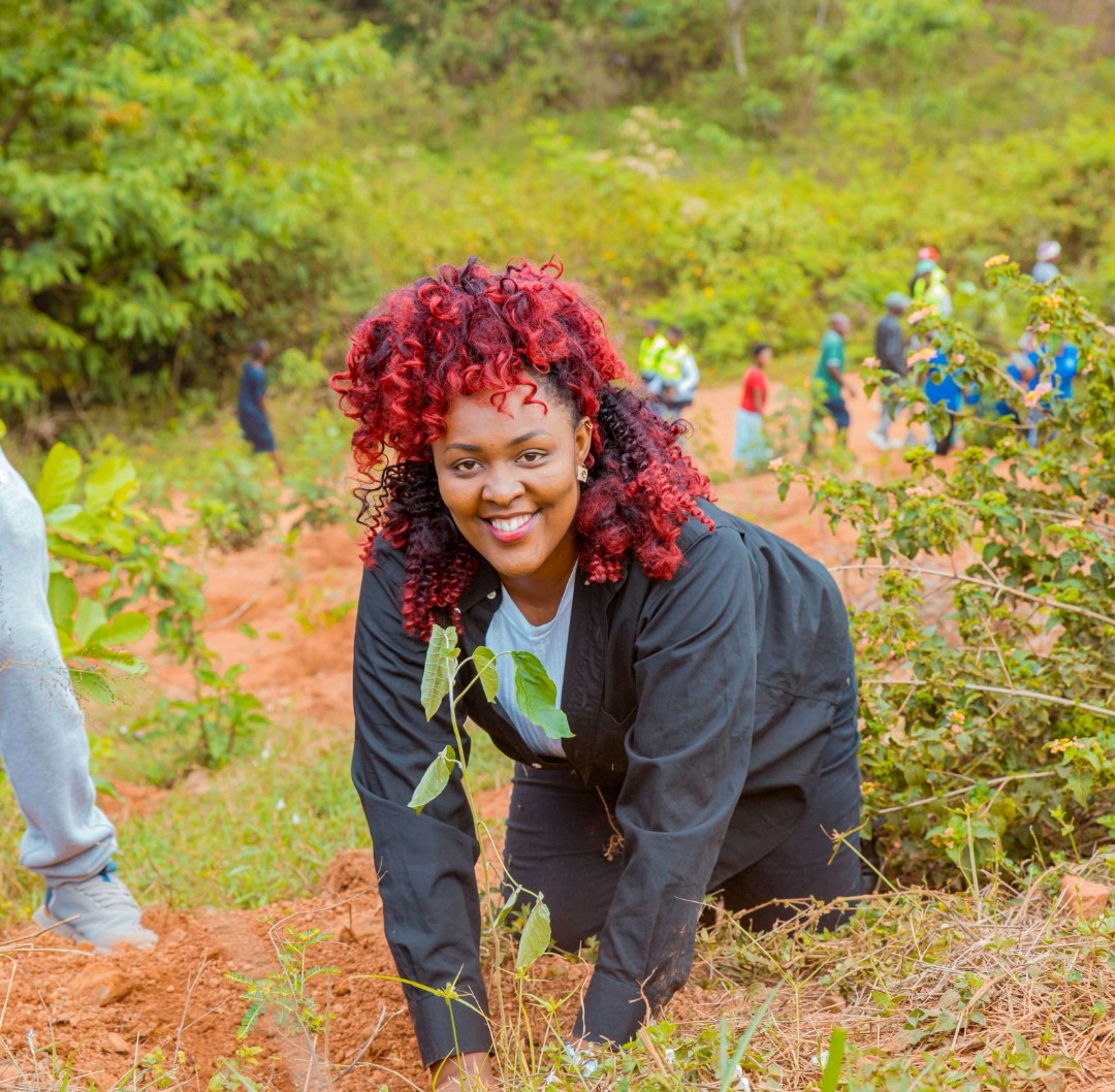 Clean_GreenRw's tweet image. Every tree planted is a step toward a sustainable future. 
#Agroforestry #Restoration