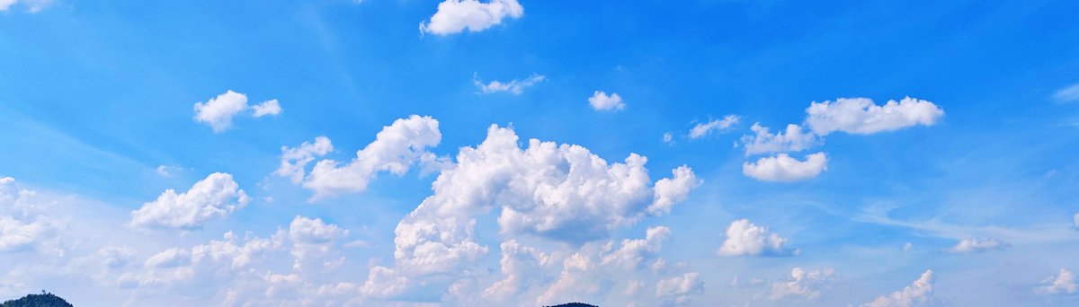 景德镇～老万 tweet media