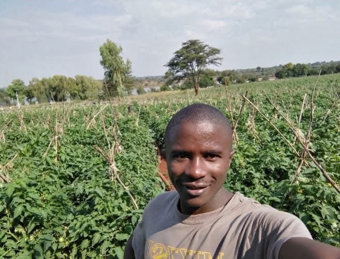 In 2021, my friend and I lost over $10,000 in tomato farming. The good thing is, it was from our small savings. Imagine if it was a bank loan, they would have harvested my kidney. 
Don’t joke with farm loans as a startup ….