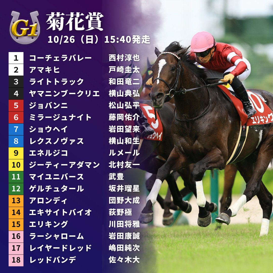 【#菊花賞】枠順が決定！👏 神戸新聞杯の覇者エリキングは7枠15番、青葉賞勝ち馬エネルジコは5枠9番、ダービー3着のショウヘイは4枠7番となりました。