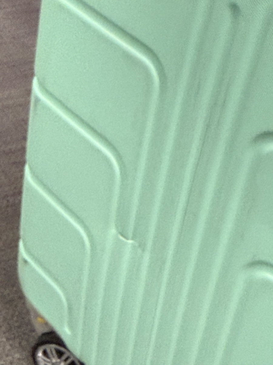 Zambu 🦁💚🤍 tweet media