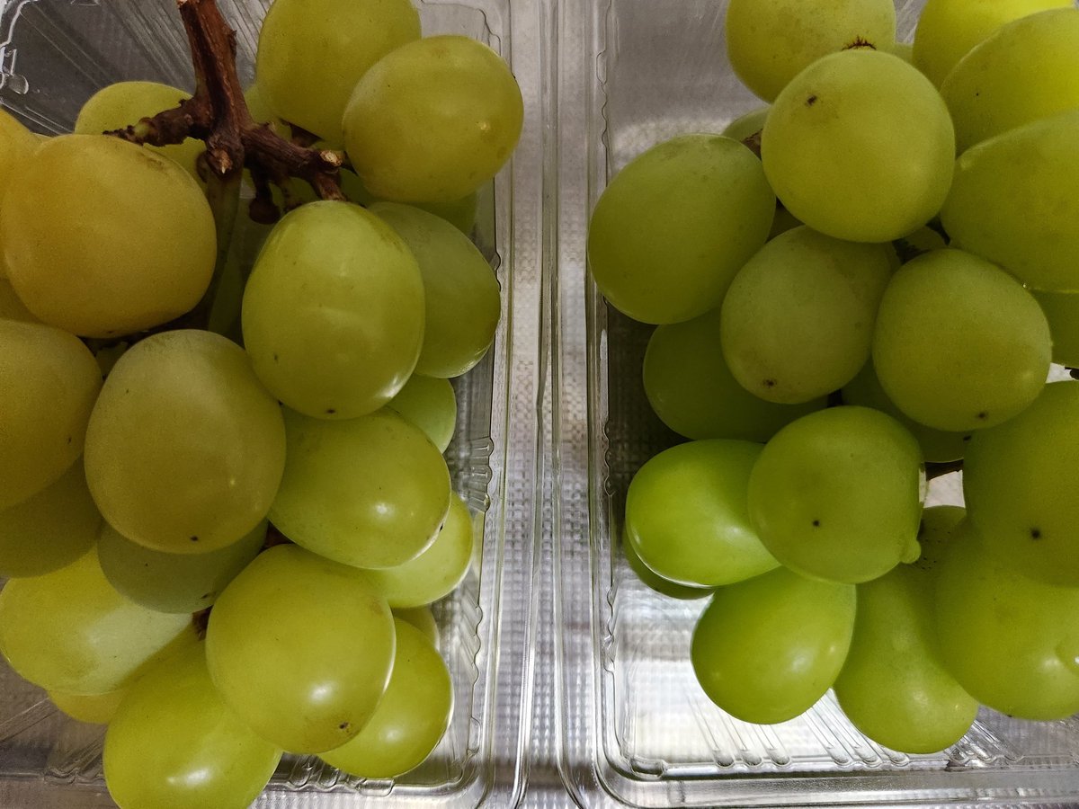 なつ (@ZnIMefjbT0avOXK) / Posts / X