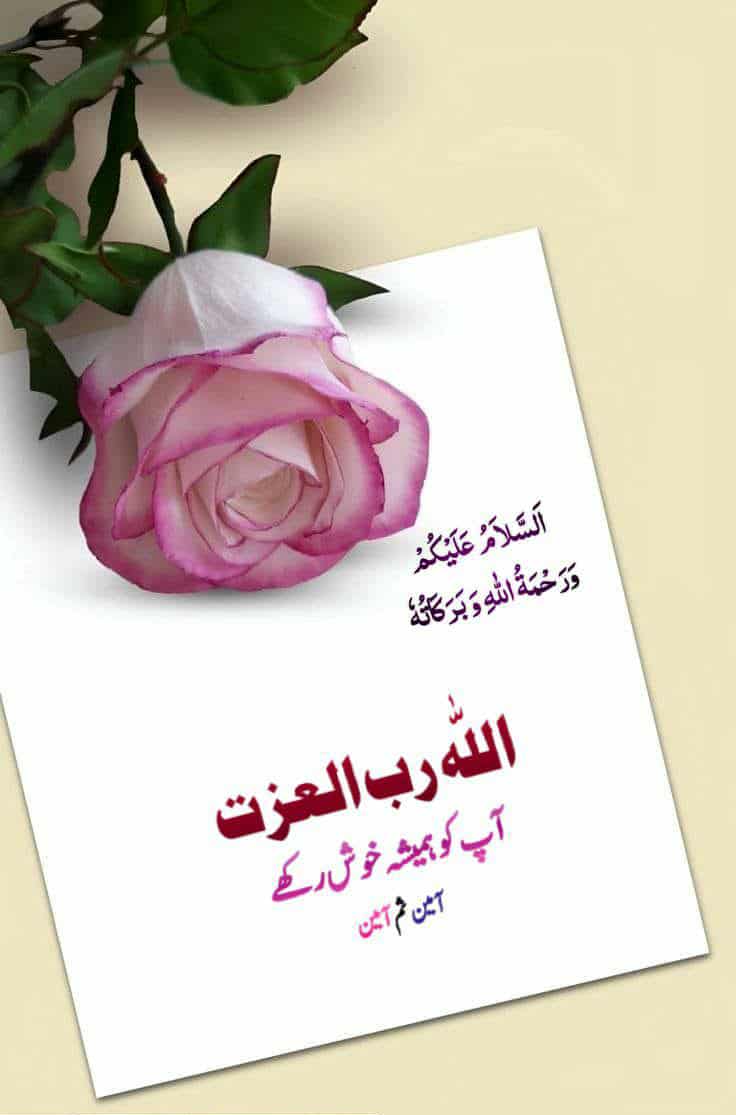 #قومی_زبان