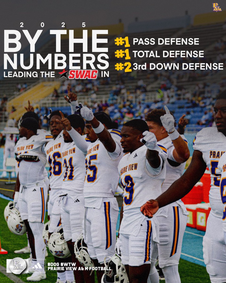 JMcDadeDPP's tweet image. Dominating the SWAC by the numbers.

🥇 #1 Pass Defense
🥇 #1 Total Defense
🥈 #2 3rd Down Defense

#WTW #DOG