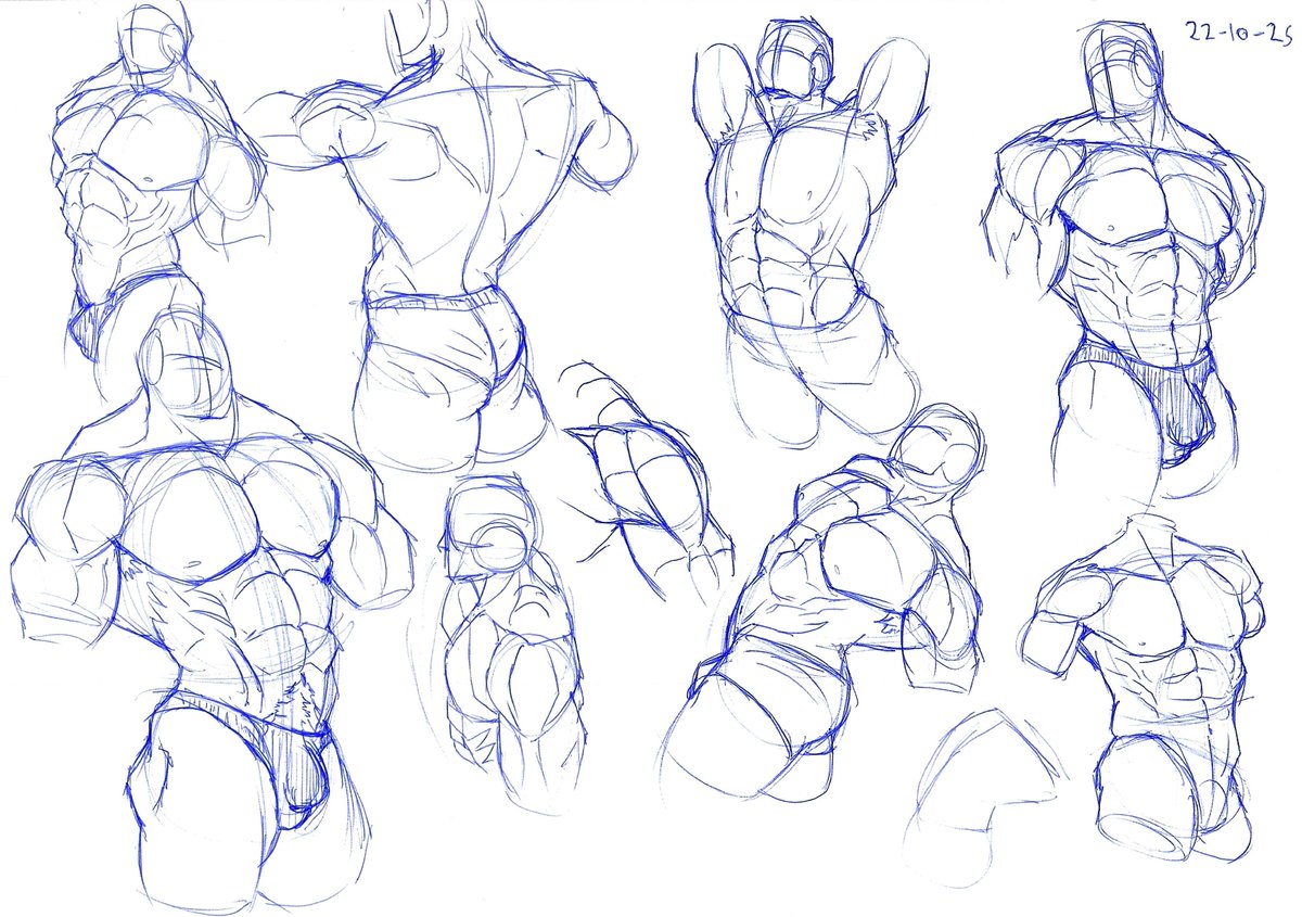 some quick torso sketchs before going to sleep
