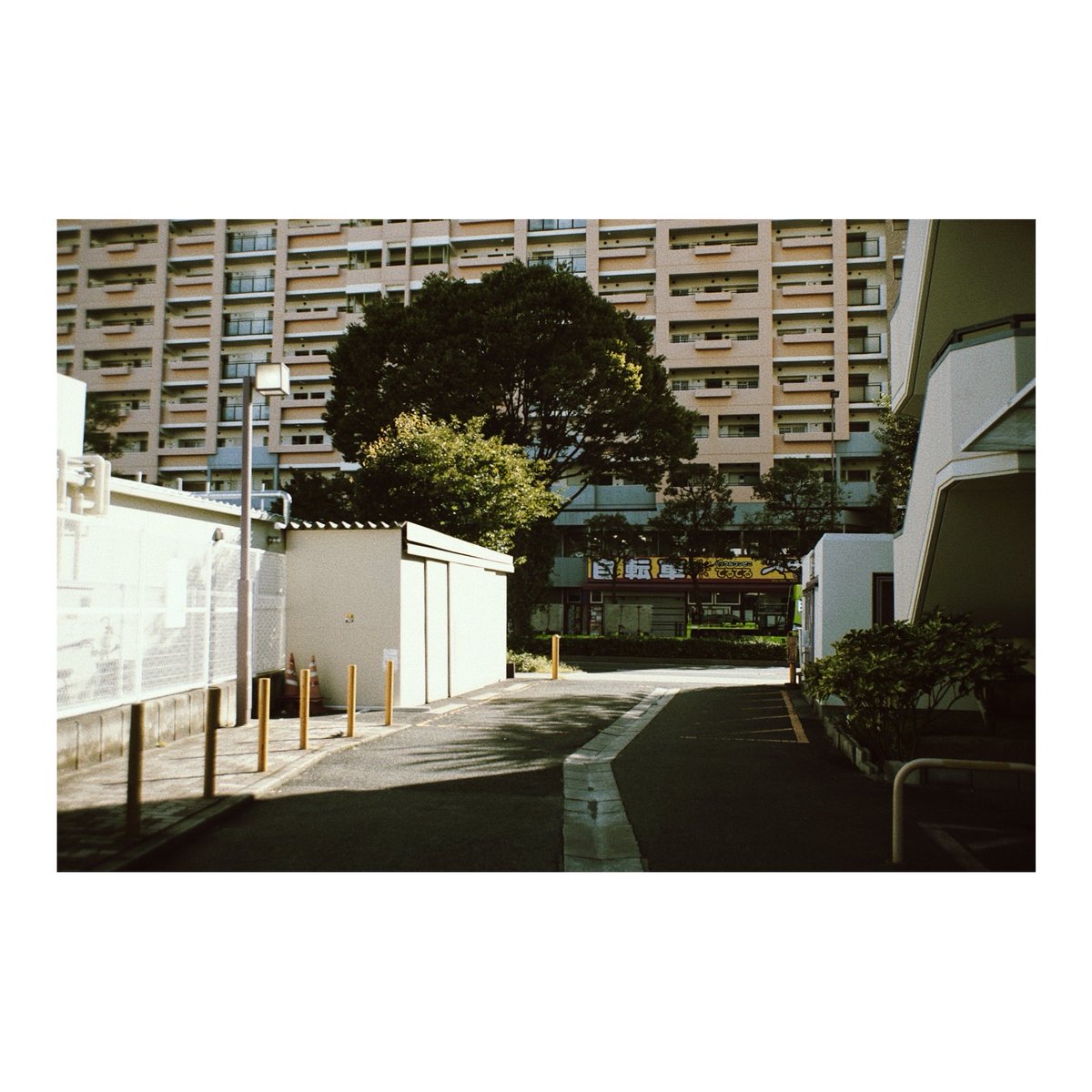 thousand1967's tweet image. 通勤経路から少し外れて。
久しぶりに写欲が溢れたなぁ
#sony  #α7  #vsco