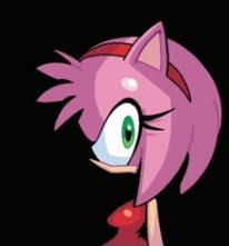 Daily Amy Rose 🌸 (@dailyamys) on Twitter photo 