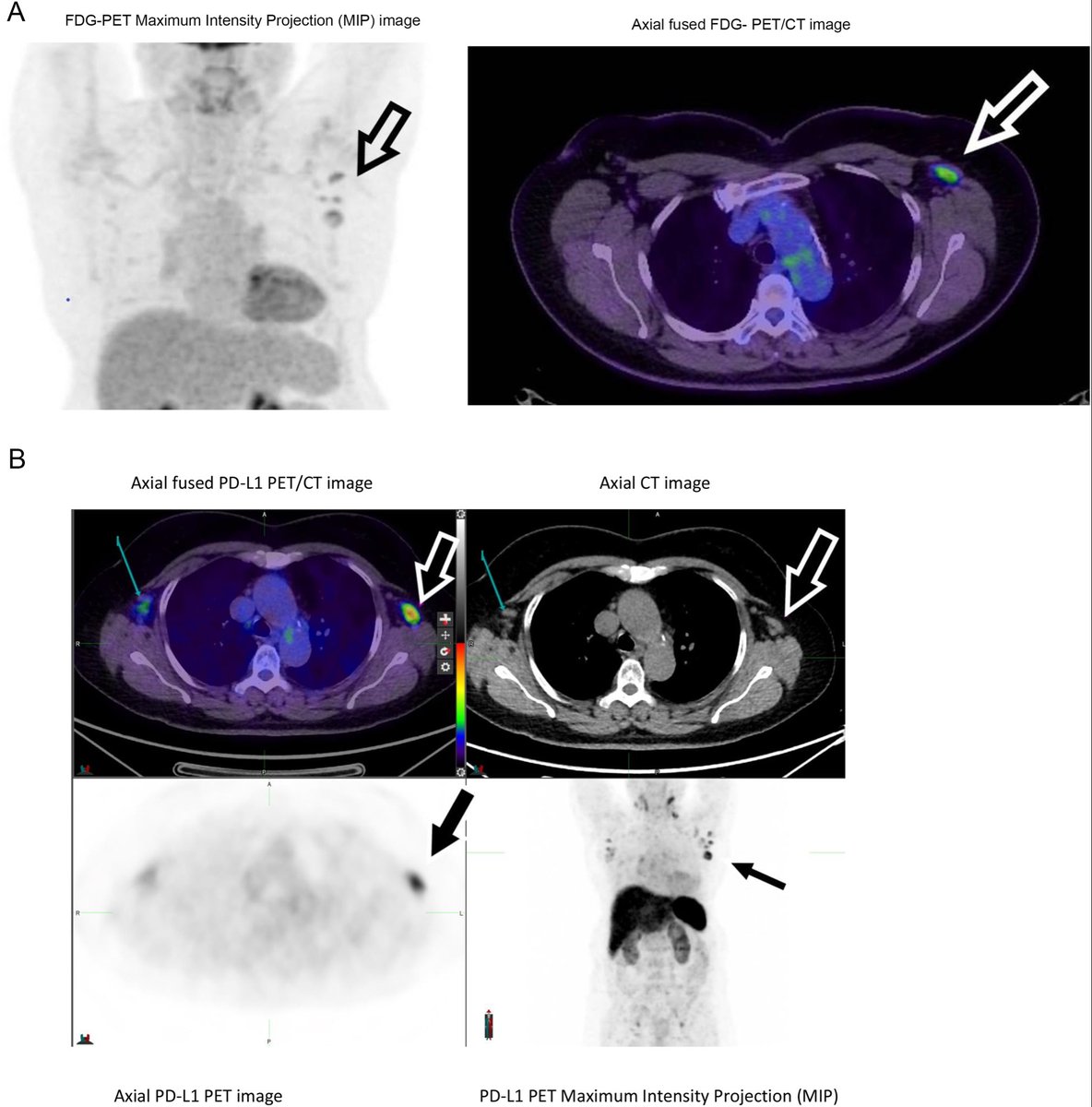 Michael MacManus tweet media