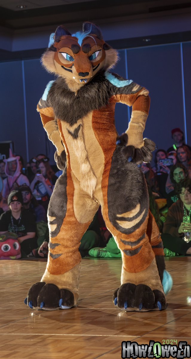 AlphaKraftC's tweet image. I’ll be at @HowloweenCanada this weekend! Who am I gonna meow at? :3
#howloween