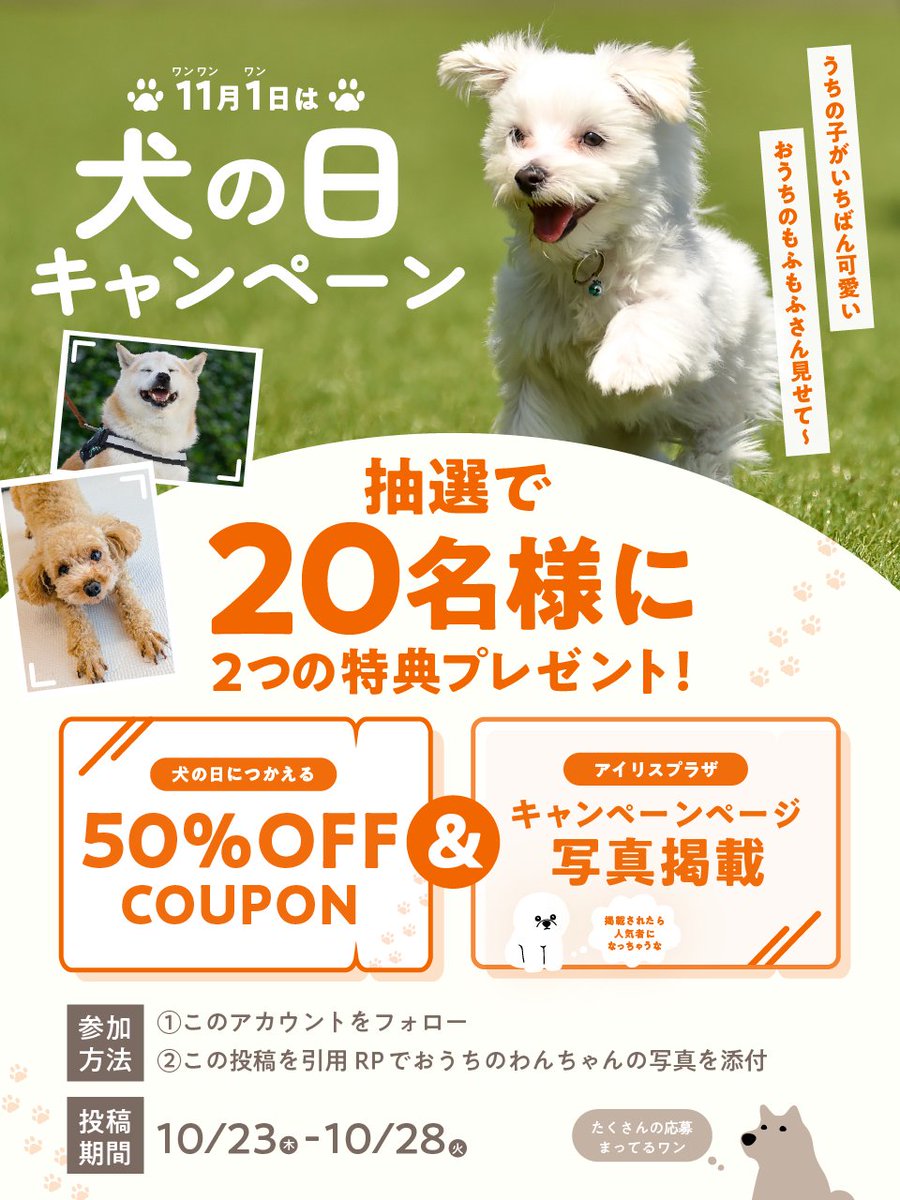 新品未開封】Dyson PencilVac Fluffy SV50FF Dyson 掃除機 コードレス