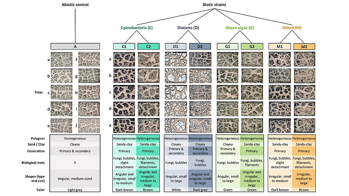 astrobiology's tweet image. Artificial Intelligence-Enhanced Detection of Biogenicity Using Laboratory Specimens of Biologically and Microbially Induced Sedimentary Structures in a Controlled Experiment
astrobiology.com/2025/10/artifi… #astrobiology #AI #microbiology