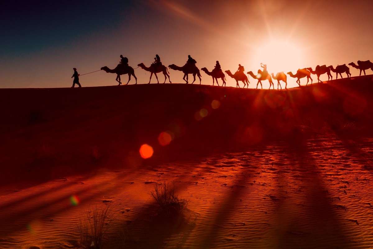 wana_visualss's tweet photo. Camel Caravan https://t.co/npN3pGDSpE