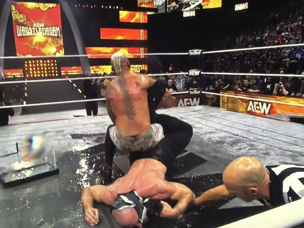 The people who are mad when someone kicks out of a Tombstone, bitched about Jon Moxley quitting to a Scorpion Deathlock.

If you don't respect Sting as much as The Undertaker, your opinions are worthless to me.