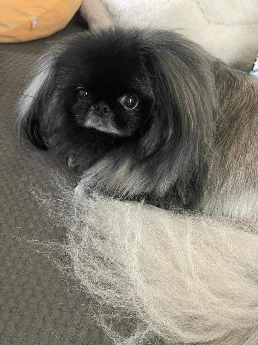 あきにゃん♪ページ あっひゃん (@gp8U5FmBvzYtiHp) / Posts / X