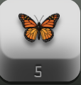 ok not to sound ungrateful but ENOUGH with the monarchs PLEASE. i have yet to find any of the other rare beetles and all of the other beetle hunters are pointing at me and laughing