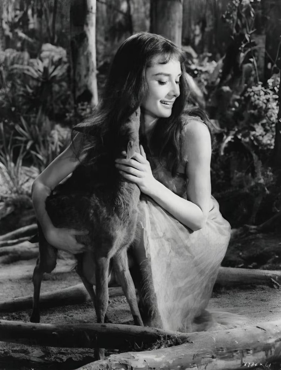 Audrey Hepburn and her pet fawn ‘pippin’ ♡