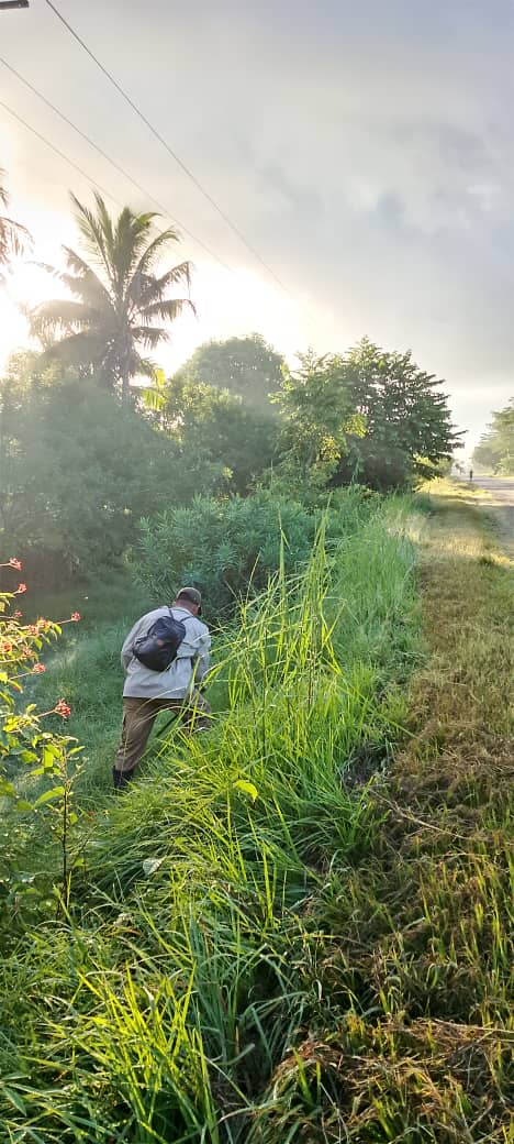 Yolexy8's tweet image. Desde la Circunscripción 42, Managua, en #Manatí, se trabaja en la chapea y mejoramiento de la jardinería en la carretera que da acceso al municipio. #Cuba, #PoderPopular, #AsambleaManatí, #RevoluciónCubana, @LorenzoOsbel , @YelenysLasTunas .