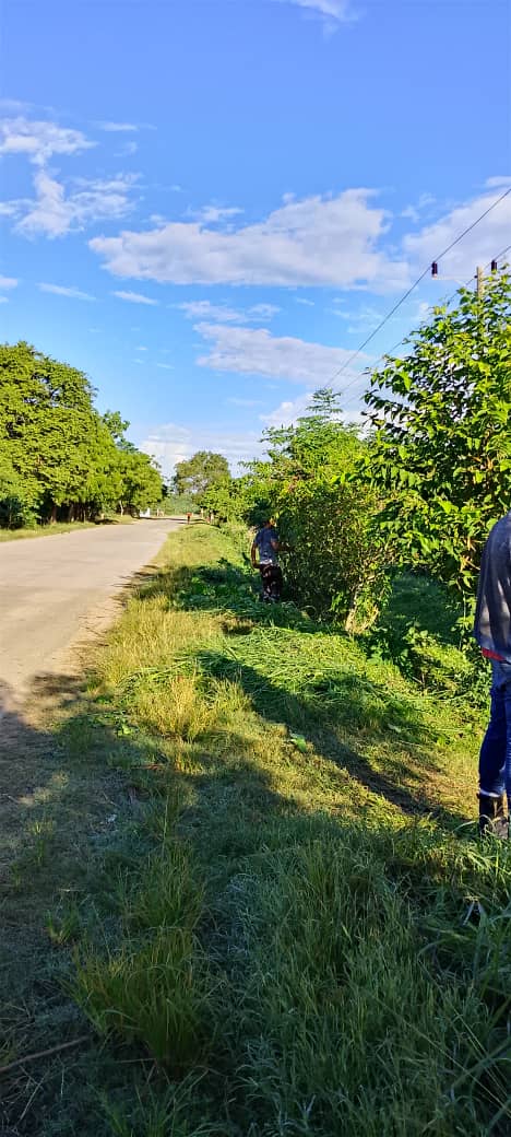 Yolexy8's tweet image. Desde la Circunscripción 42, Managua, en #Manatí, se trabaja en la chapea y mejoramiento de la jardinería en la carretera que da acceso al municipio. #Cuba, #PoderPopular, #AsambleaManatí, #RevoluciónCubana, @LorenzoOsbel , @YelenysLasTunas .