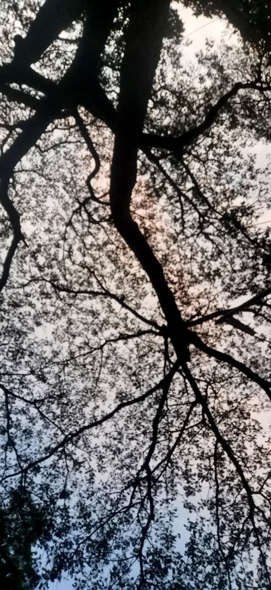 elyrxc's tweet image. #fotografia #filtrosdelanaturaleza 😍 😍 😍