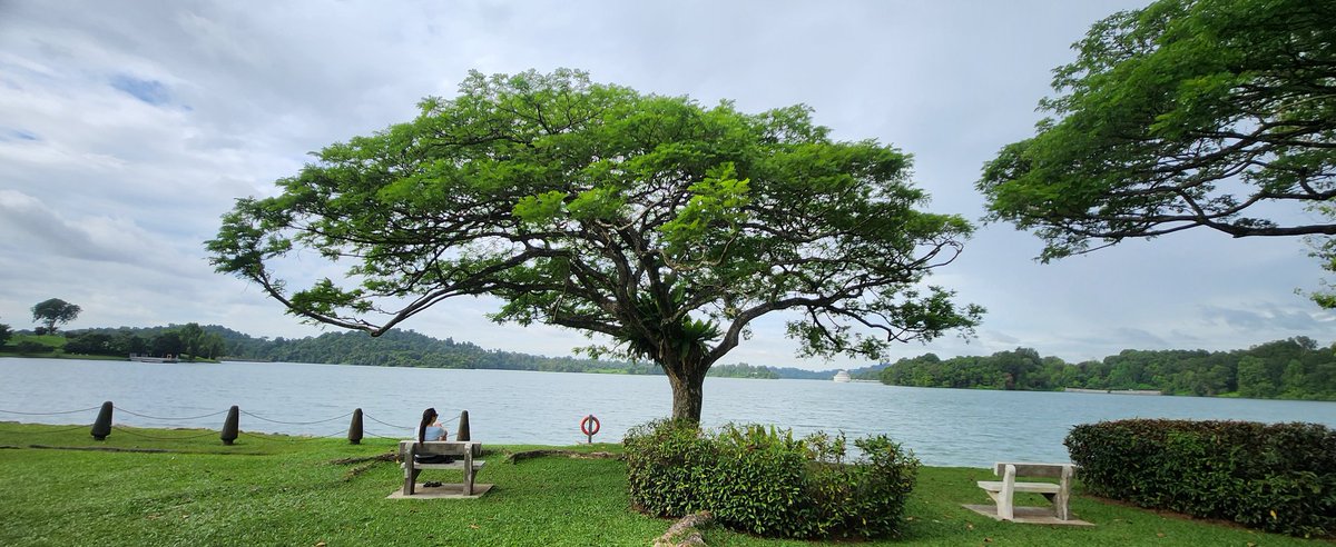 Бясалгаж суухад сайхан өглөө байлаа🥰