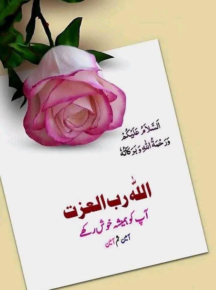 𝓘𝓼𝓂𝒶𝒾𝓁 𝐾ℎ𝑎𝑛ᴵᴷ 🇵🇰 tweet media