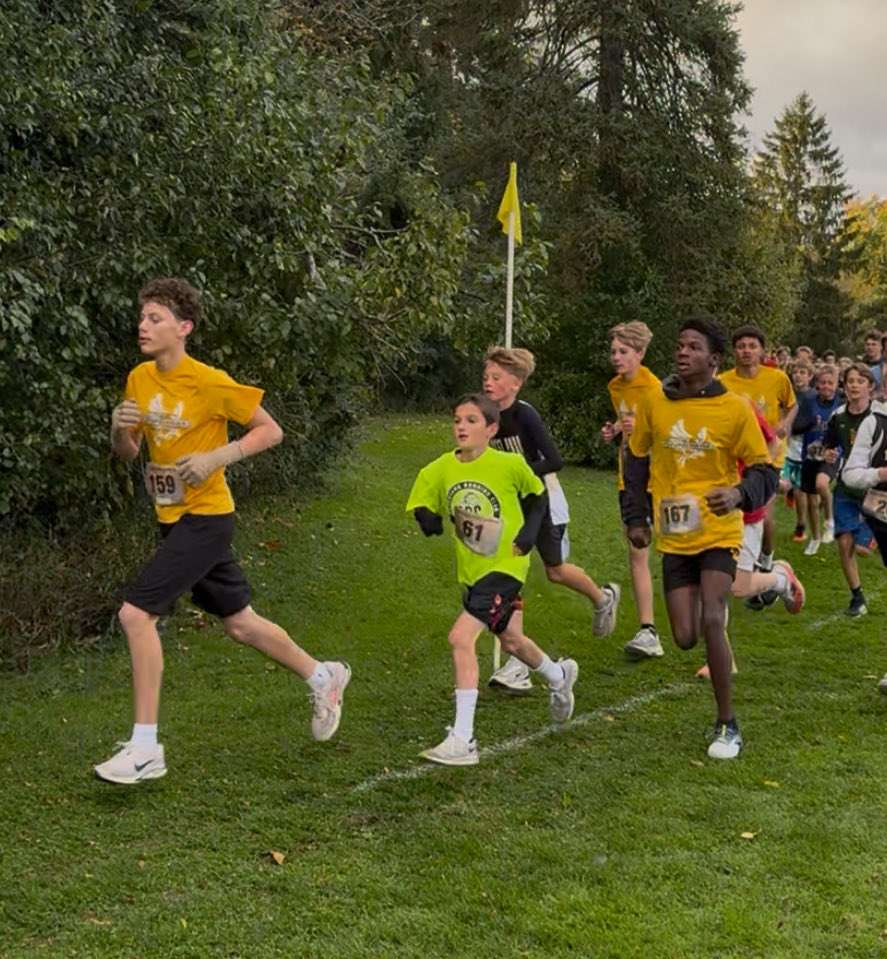 Horning Hawks CC and TF tweet media