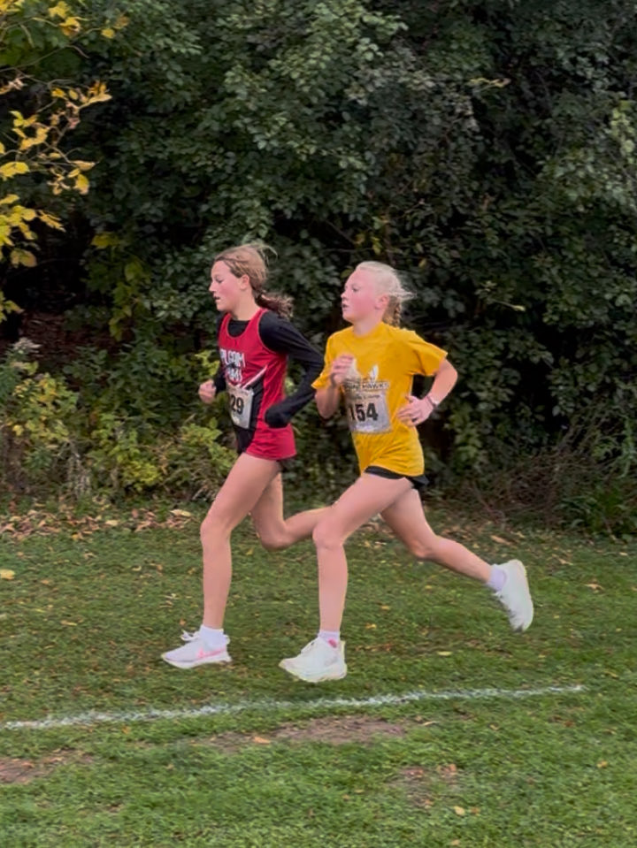 Horning Hawks CC and TF tweet media