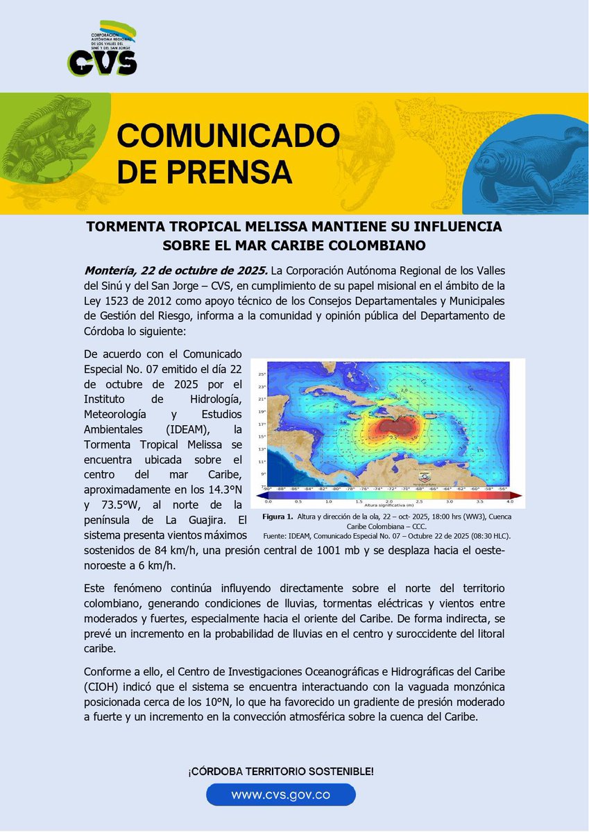CorporacionCVS's tweet photo. 🌀 #AlertaCVS La CVS informa que la Tormenta Tropical Melissa mantiene su influencia sobre el mar Caribe colombiano. IDEAM mantiene estado de AVISO para Córdoba. Se prevén lluvias, tormentas eléctricas y vientos moderados a fuertes, especialmente en zonas costeras.

Comunicado👇 https://t.co/sv0IblcL0d