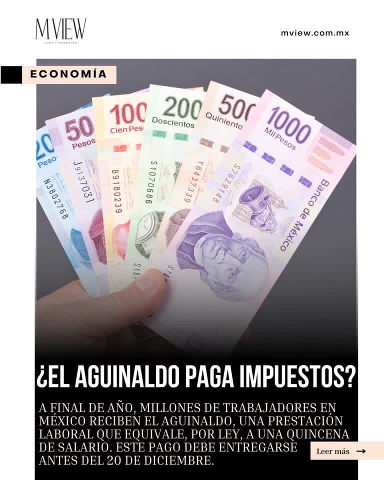 MVIEW_MX's tweet image. ¡Se acerca el aguinaldo! 

Antes de emocionarte con tu quincena extra, recuerda: parte de este pago puede estar sujeto a ISR. Aprende a administrarlo y evita sorpresas.

👉: mview.com.mx/el-aguinaldo-p…

#MVIEW #Aguinaldo