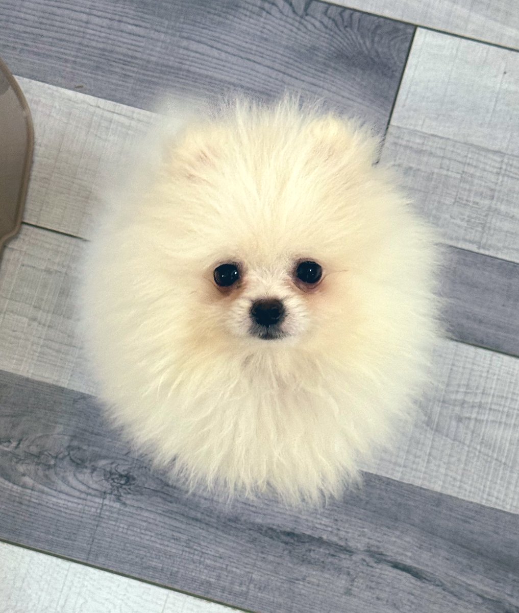 Өглөөний мэнд... 
Манай энийг хараад байгаарай... 🫠