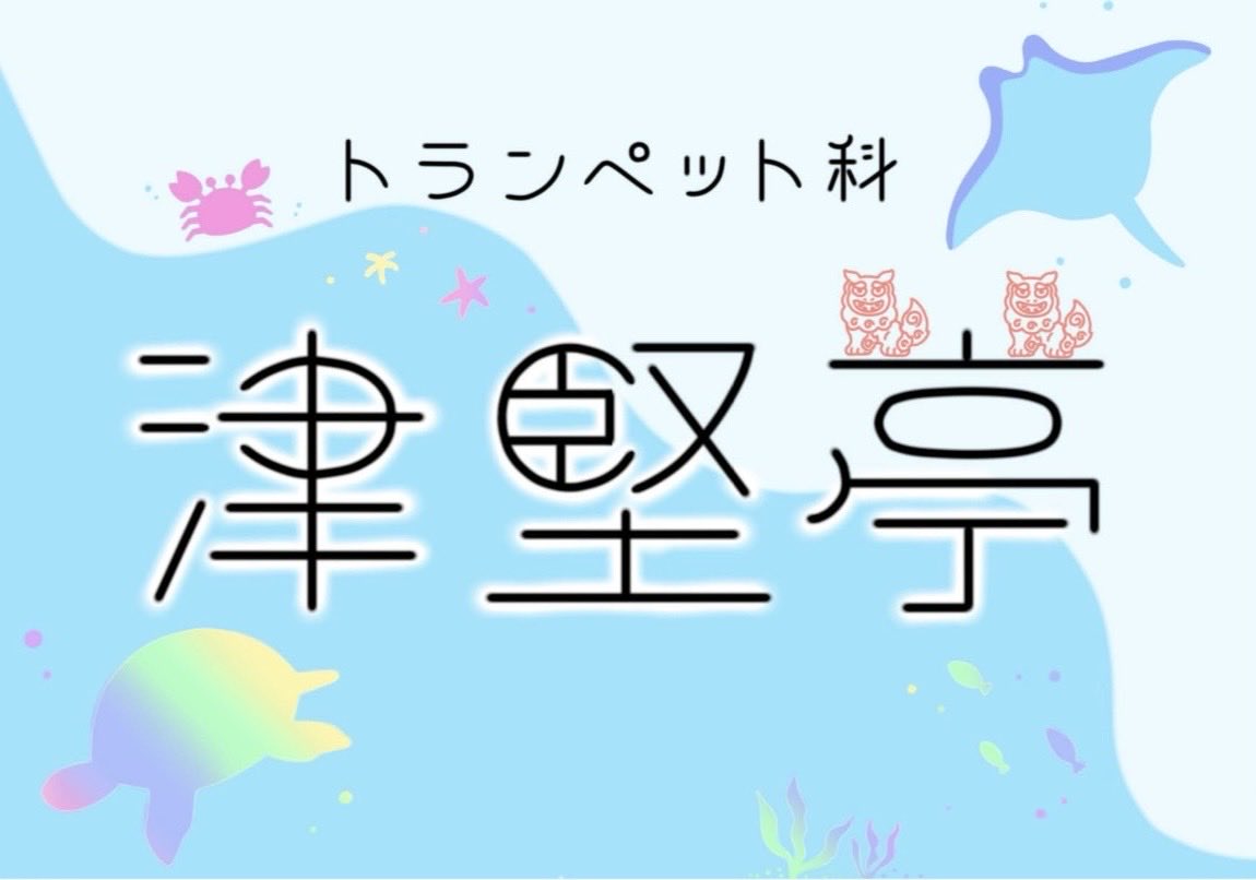 tcm_geisai's tweet image. 【模擬店紹介】
津堅亭 / トランペット専攻

・塩焼きそば
・泡盛
・シークワーサー

 #東京音楽大学  #東京音楽大学芸術祭  #tcm