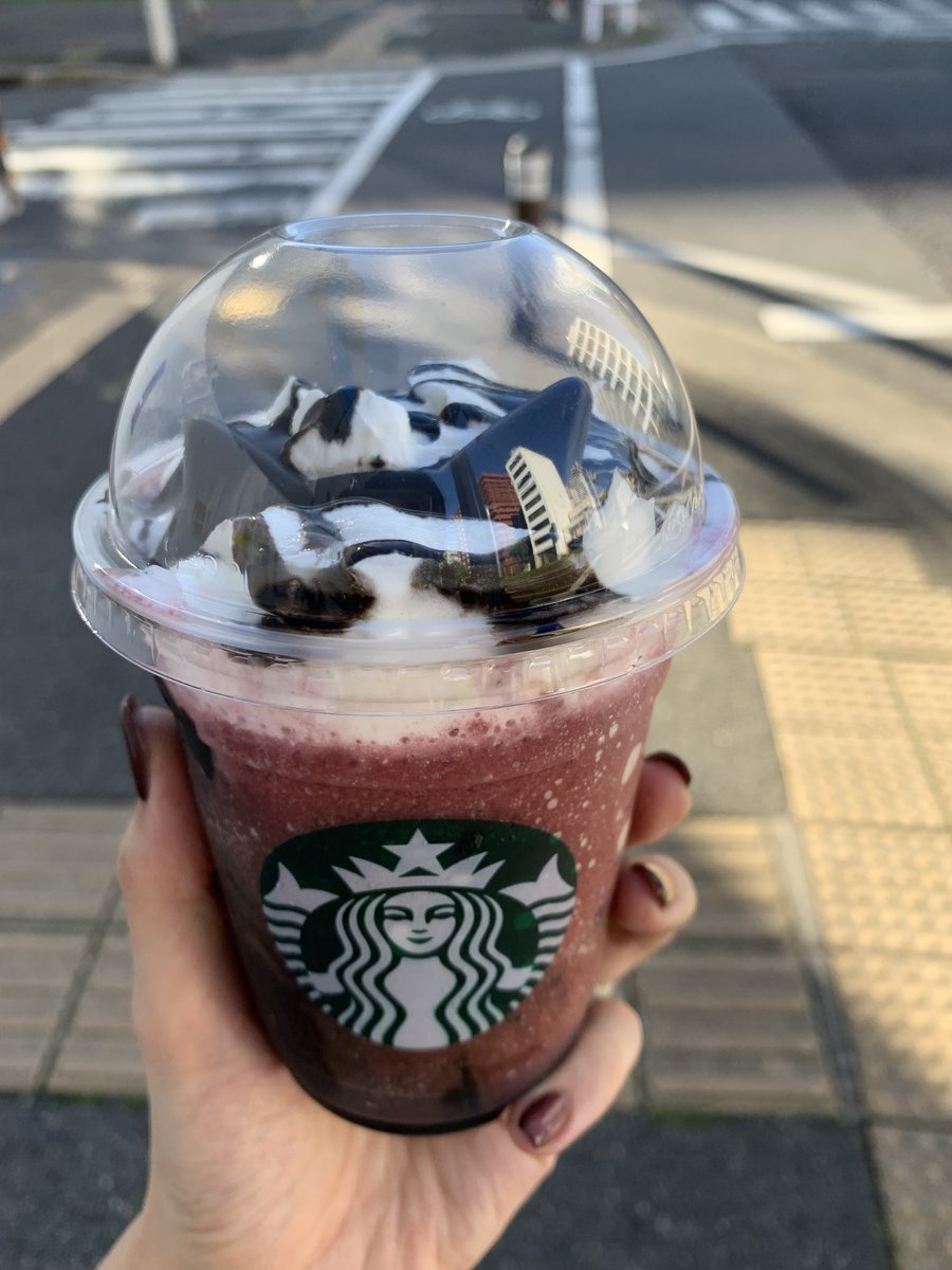 seikatsukojo's tweet photo. おはようございます！

久しぶりにスタバの新作飲めました🐈❤
この日は少し気温が高くて猫耳型のチョコレートが沈みかけてます🤣
可愛いし美味しかったのでブラックバージョンも気になってます😻

それではもくようび、頑張っていきましょう～

#アサイーベリーフラペチーノ 
#企業公式つぶやき部 https://t.co/ctRVJgCP7G