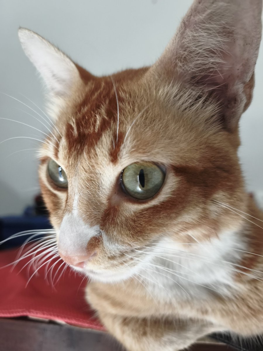 Max aka chumi..
