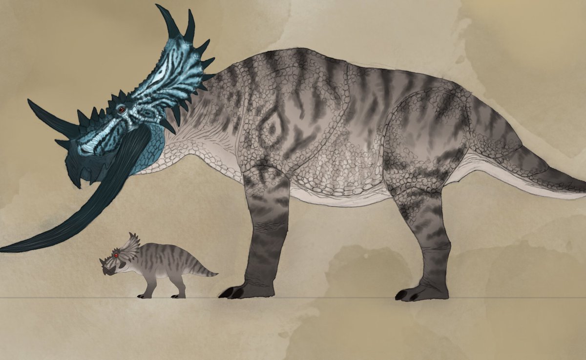 b3njaxdrex's tweet image. Potato
#projectparadise