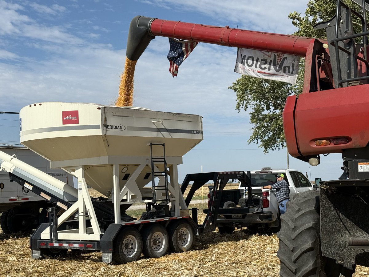 Brandon Hall tweet media