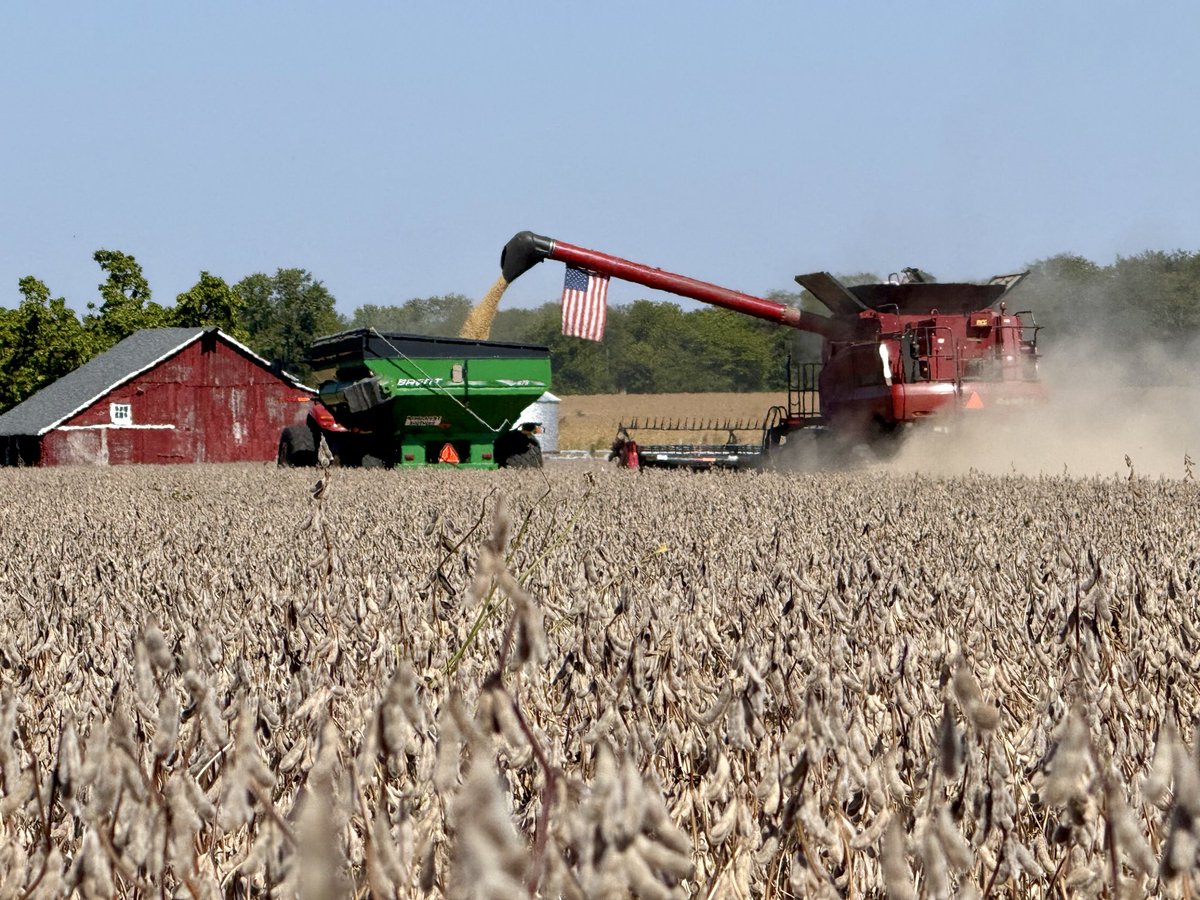 Brandon Hall tweet media