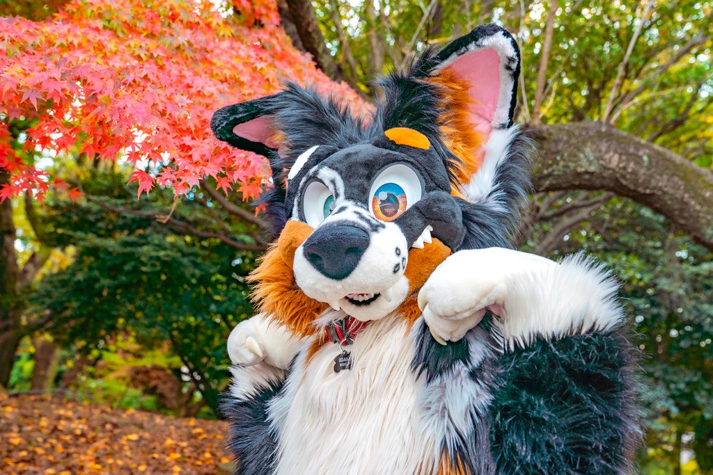 食欲の秋！美味しいものいっぱいですき！