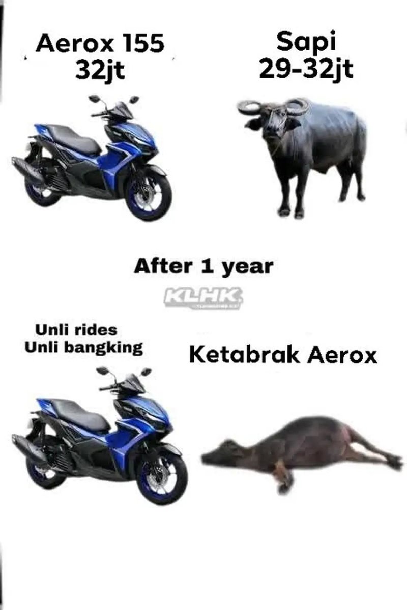 AdiPrab10410697's tweet image. ?