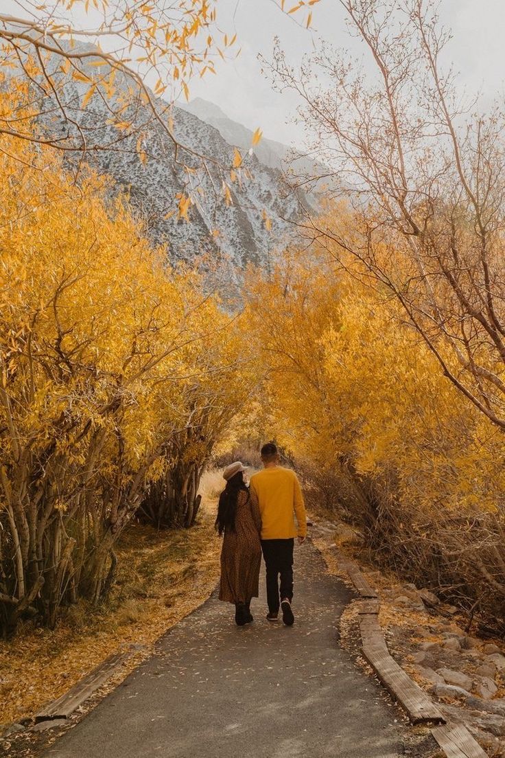 Assalamoaliekum💐

Good Morning “X” Family🌸

Stay Blessed And Be Happy😊🥀

(Mutual Rt )💯