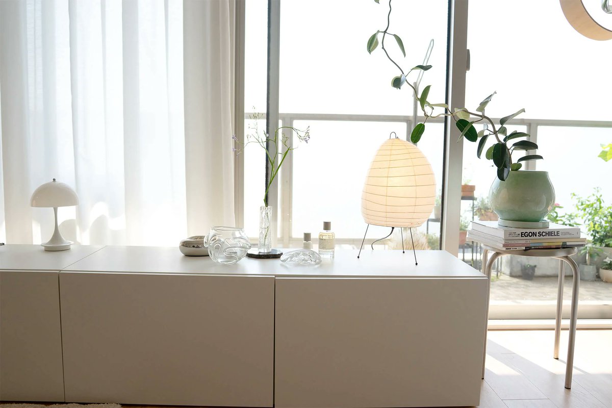 観葉植物・お花の通販 AND PLANTS (アンドプランツ) on X