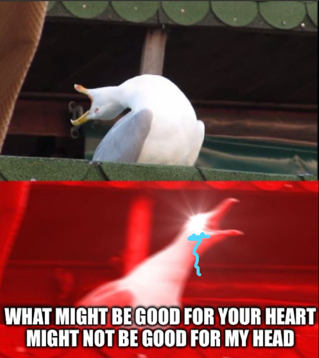 xoAssassino's tweet photo. every damn time https://t.co/tHQbD3WR1l